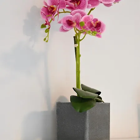 Appartement Centro Y Playa! Marbellac