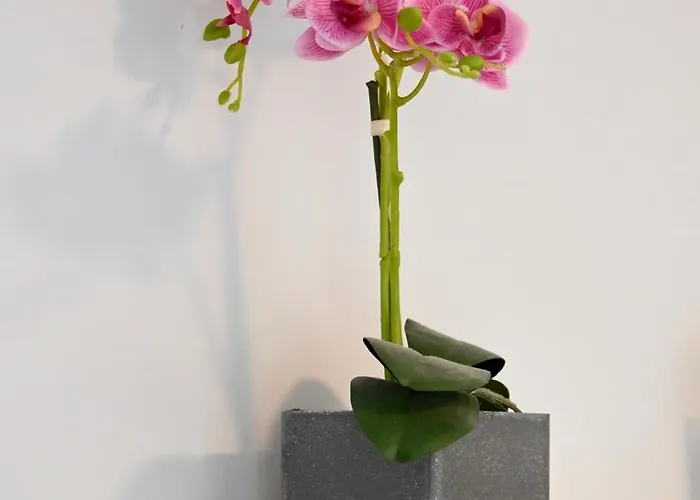 Appartement Centro Y Playa! Marbella